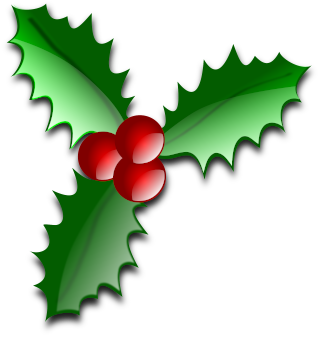 Holly 320x337